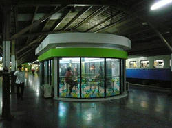 P1180239.JPG