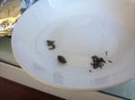 2012-03-31_18-31-09_853.jpg