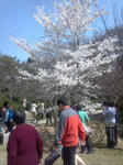 2012-03-31_11-24-00_578.jpg