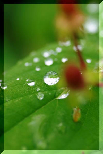 1cbd3127.JPG