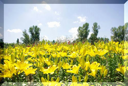 c9cfc58f.JPG
