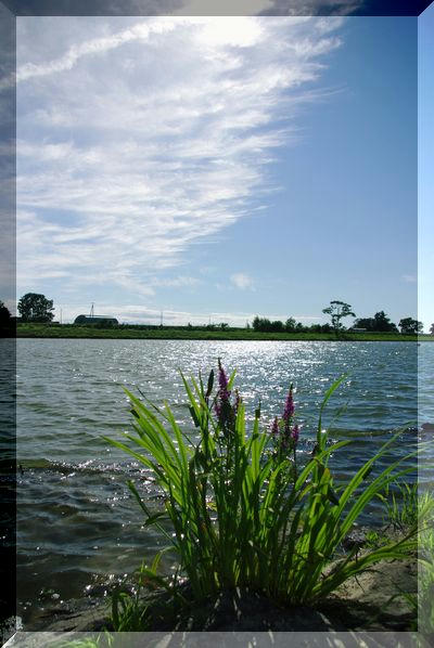 503a450f.JPG