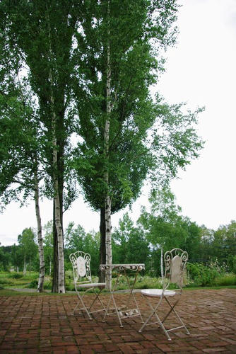 5d19cc95.JPG