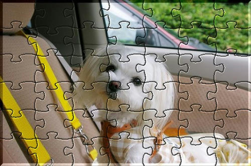 09bfccc9c0076ec0_o.jpg