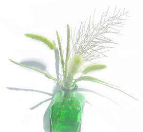 flo-500.jpg