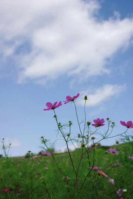 a393c8a2.JPG