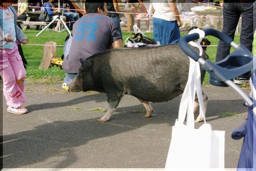 27ff2daf.JPG