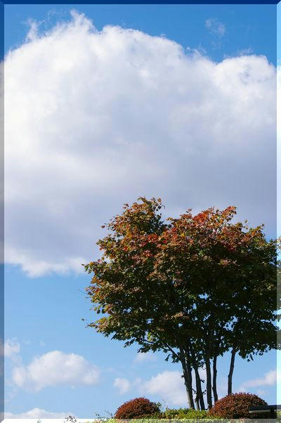 df85ea97.JPG