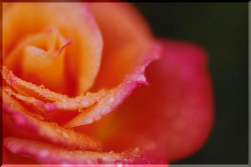 81a01179.JPG