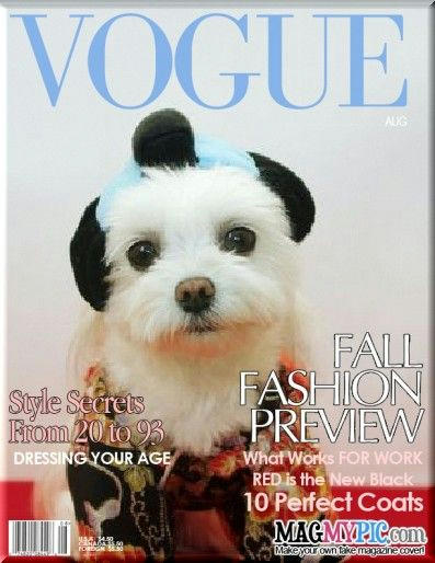 VOGUE_med.jpg