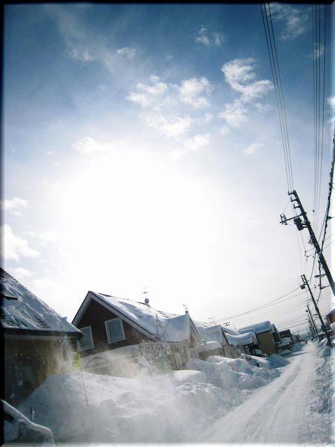 4af79a81.JPG