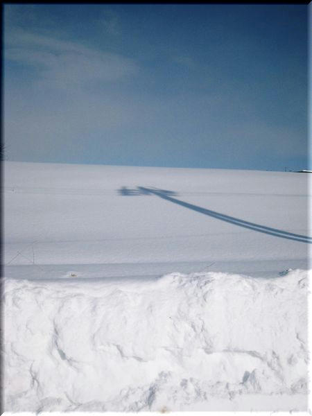 56c7481d.JPG