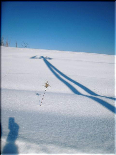 2e299623.JPG