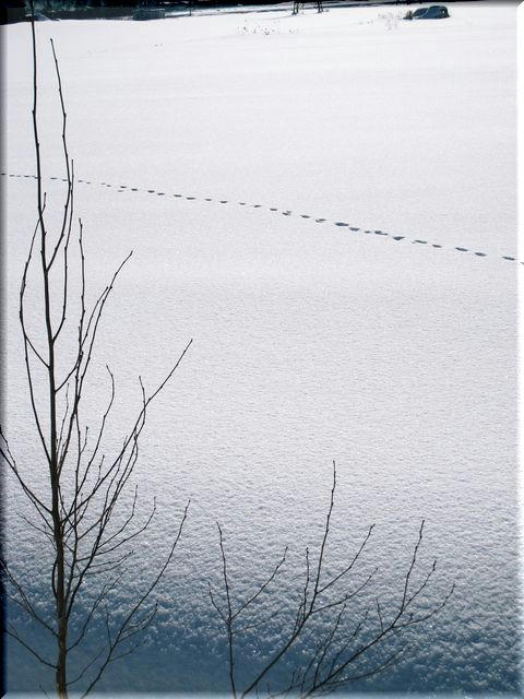 3e79f0f9.JPG