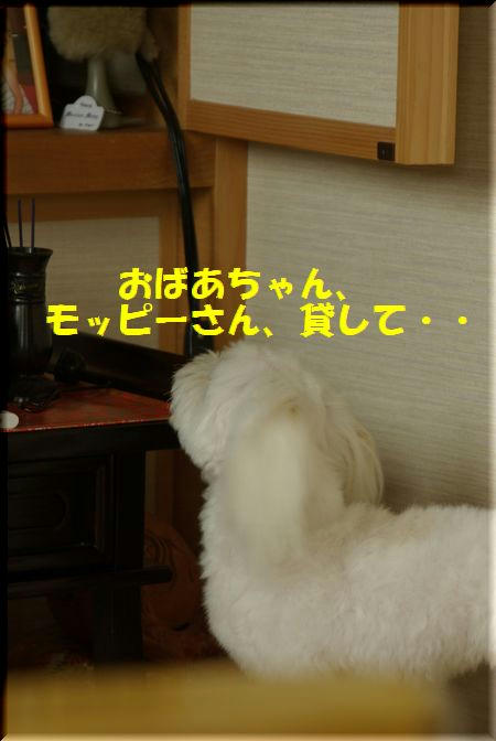 721cb874.jpg