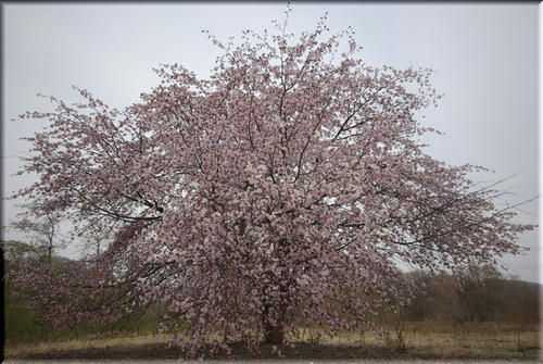 af4f0720.jpg