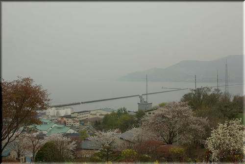 a08466d5.jpg