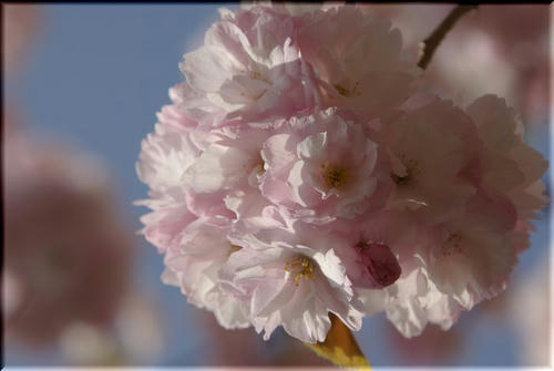 fce60788.jpg