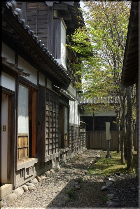 435c0d78.jpg