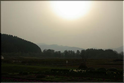 85847cd0.jpg