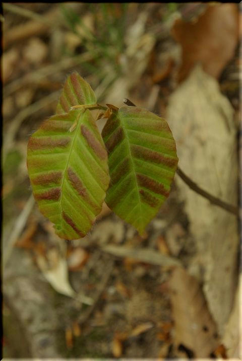 f5217554.jpg