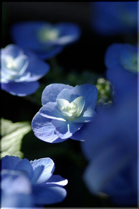 9c016f8f.jpg