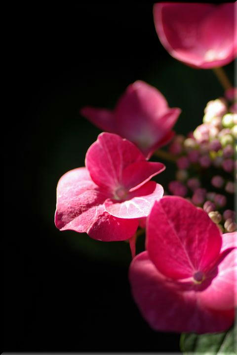 37b4f429.jpg