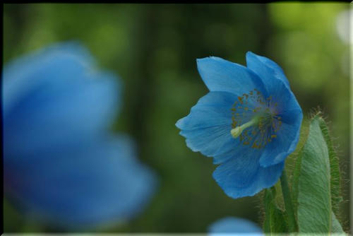 2f544880.jpg