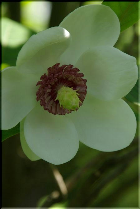 9e68054a.jpg
