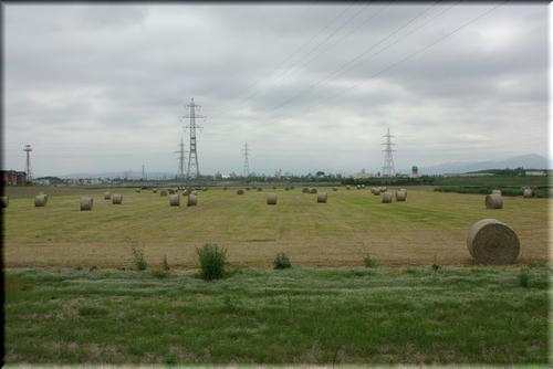 b07e24d7.jpg