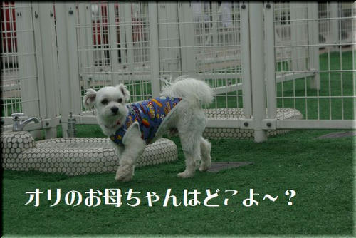0c368935.jpg