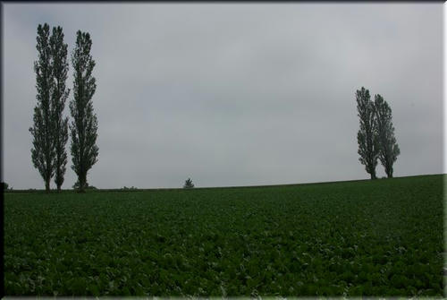 8544e1b8.jpg