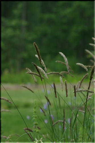 f4d535ab.jpg