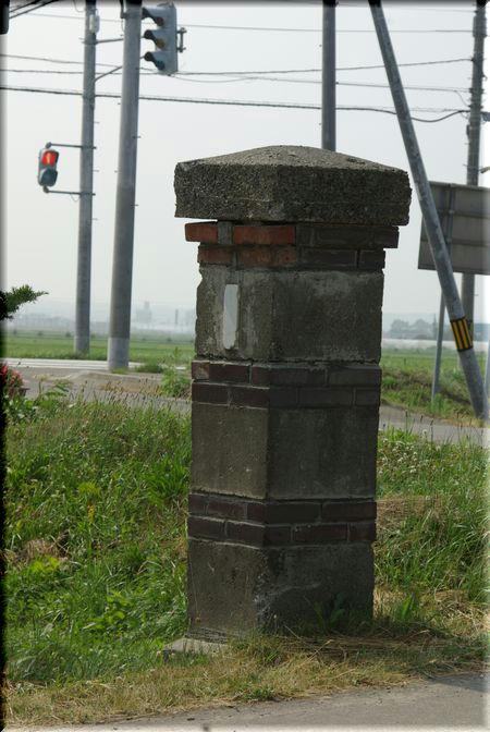 031d7225.jpg