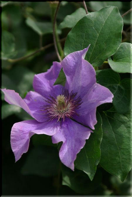 091c45d5.jpg