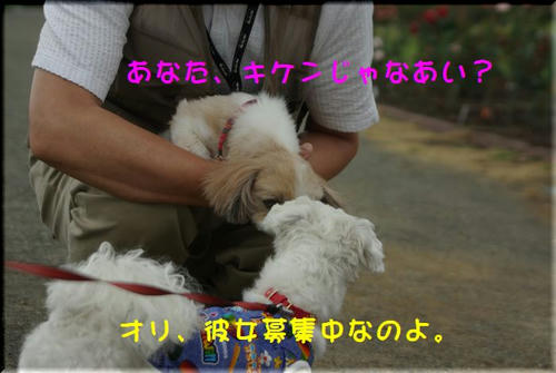f7a6c111.jpg