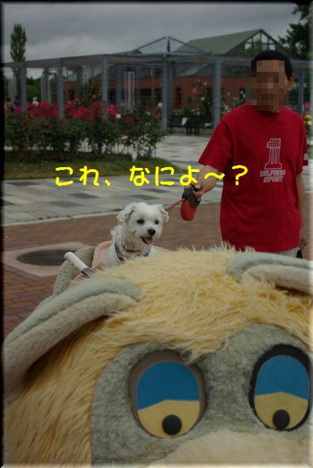 7d1f03bb.jpg