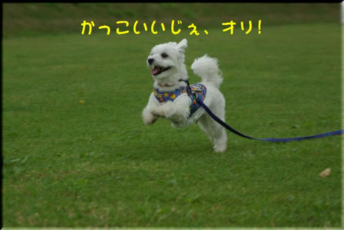 56a93d2d.jpg