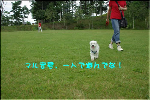 a9d9093d.jpg