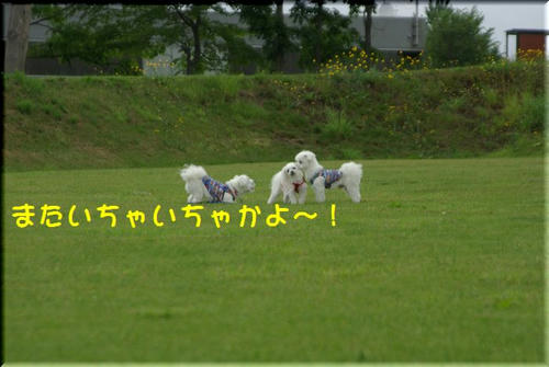 a18f3a00.jpg