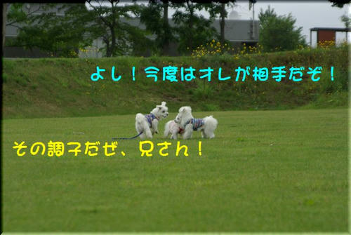 fa0b2d53.jpg
