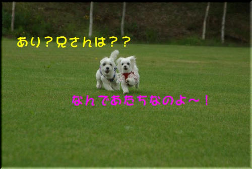 0a091300.jpg
