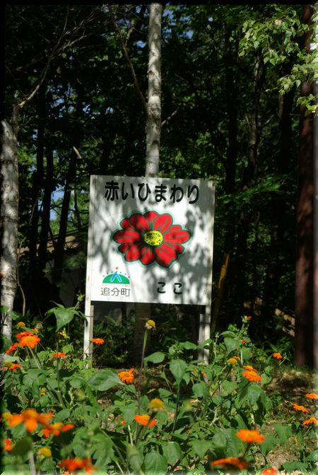 b40d1379.jpg
