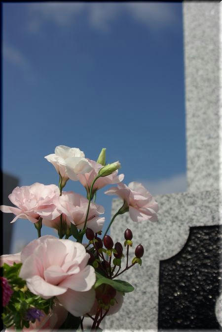 e001424f.jpg