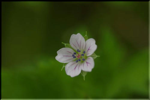 7a991490.jpg