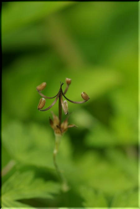 aa626593.jpg