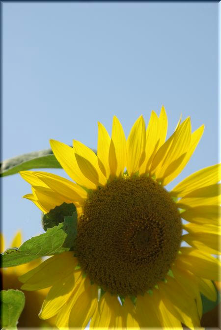 8a6144e2.jpg