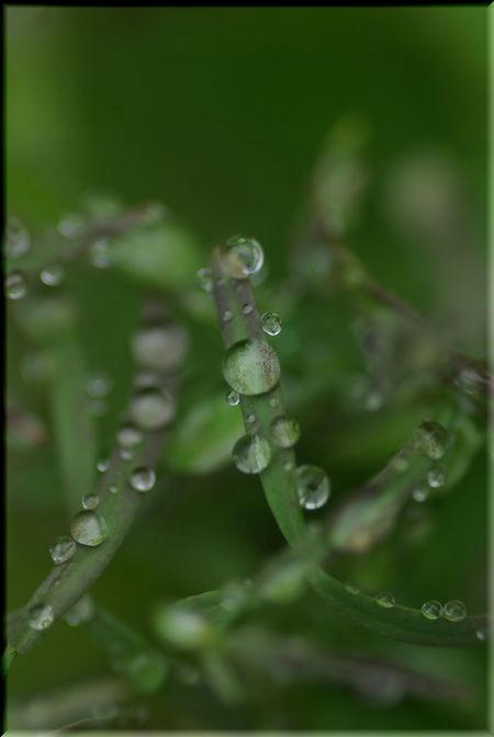 2c355e09.jpg