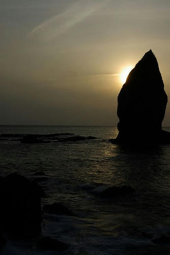 86478e53.jpg