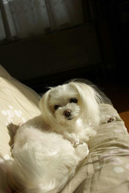 7d9018d2.jpg